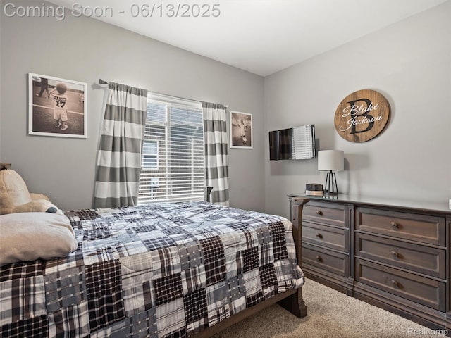 45877 Andrew Dr, Macomb, MI 48044 - view of carpeted bedroom