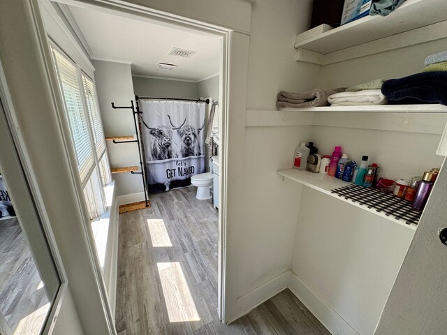 128 Cass St, Monroe, MI 48161 - photo 22