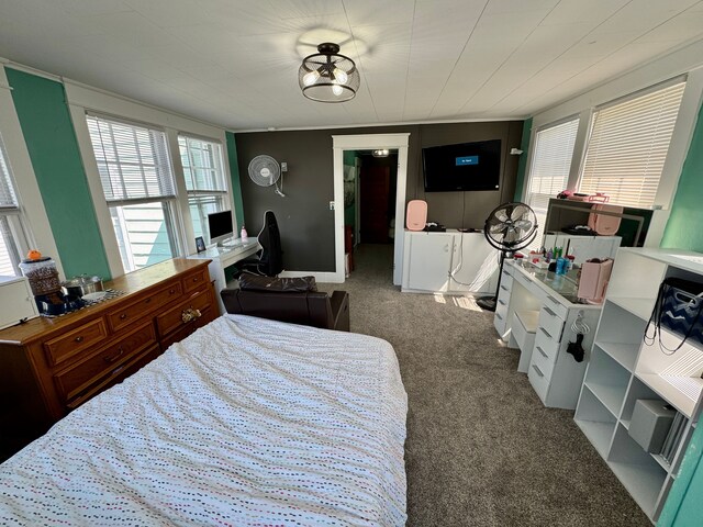 128 Cass St, Monroe, MI 48161 - photo 27
