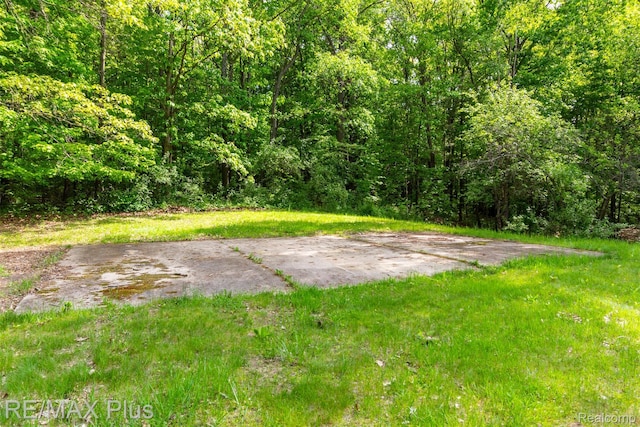 3168 Farmbrook Ln, Metamora, MI 48455 - view of yard with a view of trees