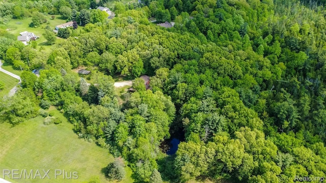 3168 Farmbrook Ln, Metamora, MI 48455 - aerial overview of property's location with a forest