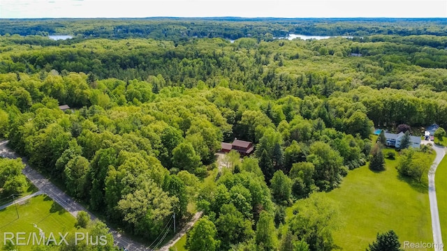 3168 Farmbrook Ln, Metamora, MI 48455 - bird's eye view of a forest