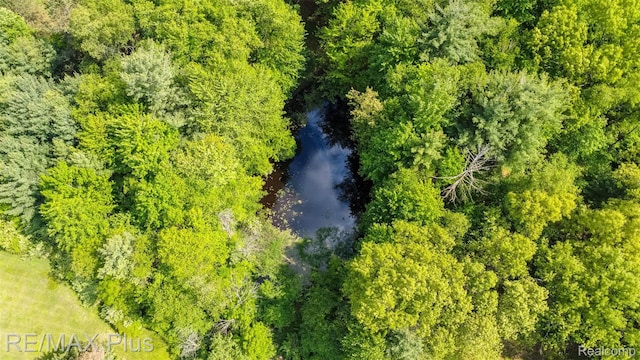 3168 Farmbrook Ln, Metamora, MI 48455 - bird's eye view of a large body of water