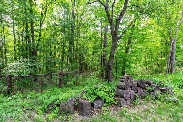 3168 Farmbrook Ln, Metamora, MI 48455 - view of wooded area