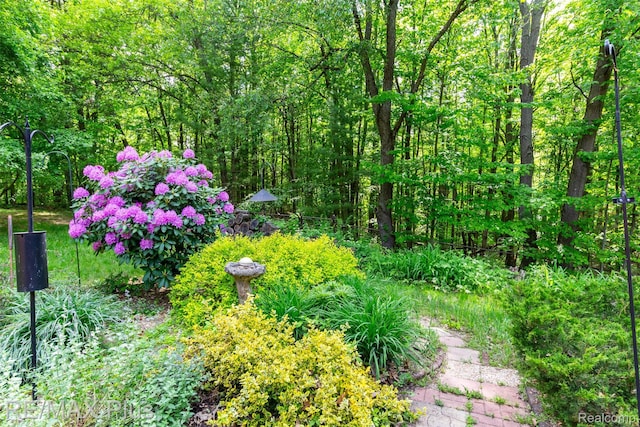 3168 Farmbrook Ln, Metamora, MI 48455 - view of yard