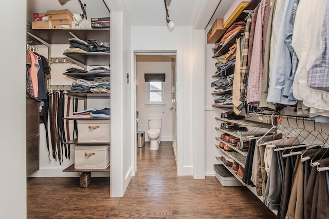 2142 Spring Ridge Dr, Ann Arbor, MI 48103 - walk in closet with wood finished floors