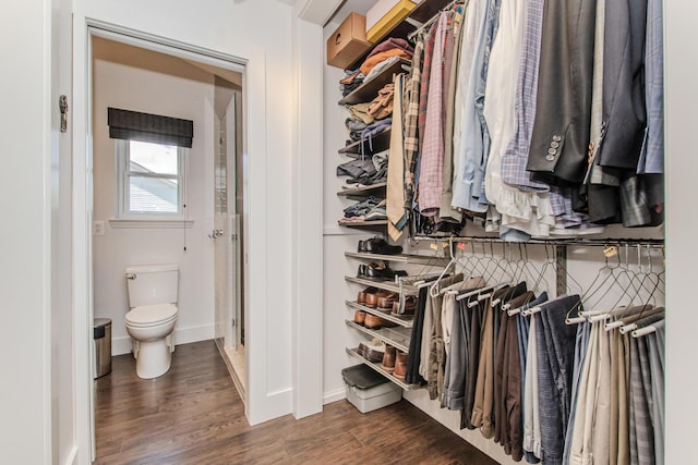 2142 Spring Ridge Dr, Ann Arbor, MI 48103 - spacious closet with dark wood-style flooring