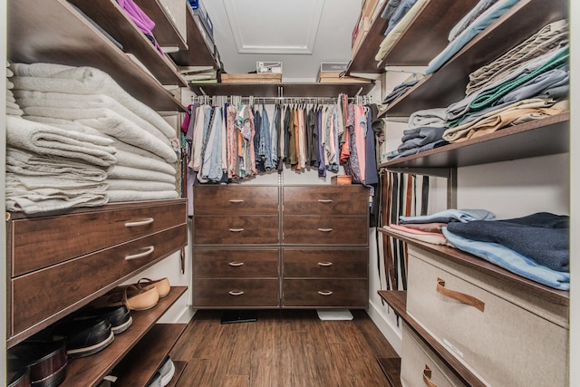 2142 Spring Ridge Dr, Ann Arbor, MI 48103 - spacious closet with dark wood-style flooring and attic access