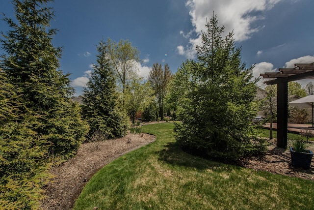 2142 Spring Ridge Dr, Ann Arbor, MI 48103 - view of green lawn