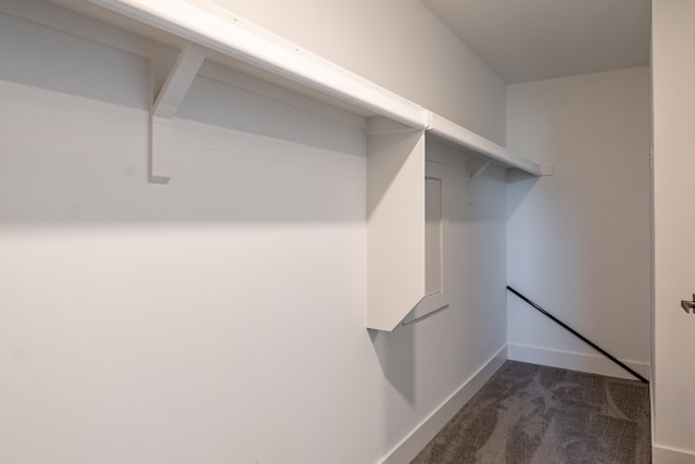 54598 Deadwood Ln, Utica, MI 48316 - walk in closet featuring dark carpet