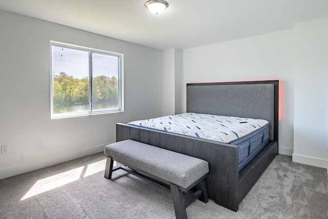 54598 Deadwood Ln, Utica, MI 48316 - bedroom with carpet flooring and baseboards