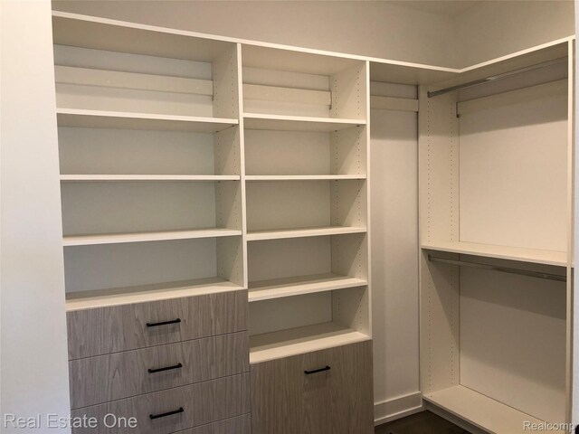 145 Westchester Way, Birmingham, MI 48009 - view of walk in closet