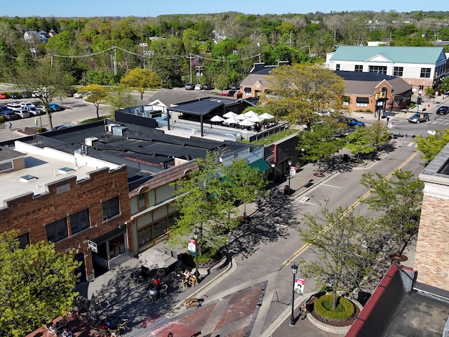 270 S Center St, Northville, MI 48167 - aerial view of a heavily wooded area