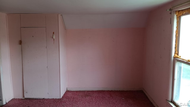 1730 Round Lake Hwy, Manitou Beach, MI 49253 - additional living space featuring light carpet