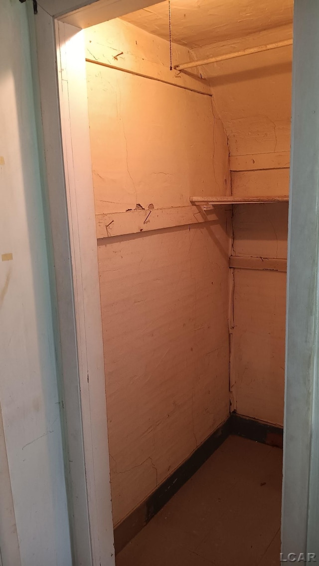 1730 Round Lake Hwy, Manitou Beach, MI 49253 - view of spacious closet