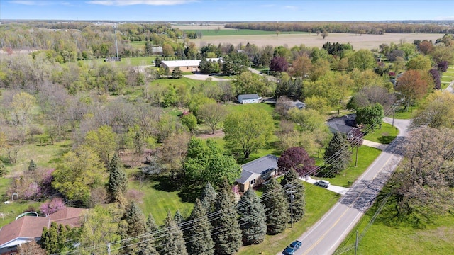 1431 E Oliver St, Owosso, MI 48867 - drone / aerial view
