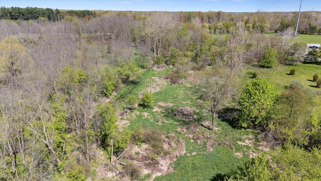 1431 E Oliver St, Owosso, MI 48867 - drone / aerial view of a heavily wooded area