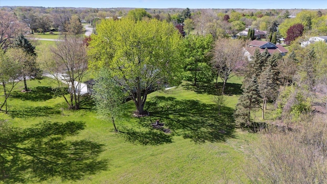 1431 E Oliver St, Owosso, MI 48867 - bird's eye view of a forest