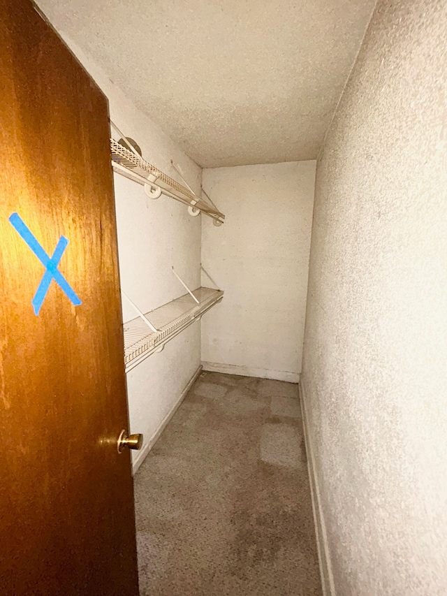 spacious closet featuring carpet floors