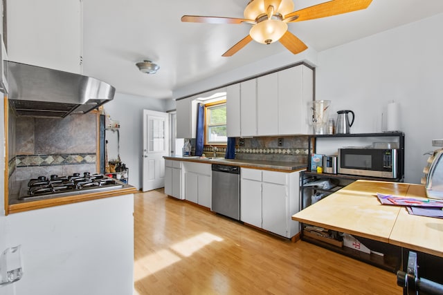 kitchen with appliances with stainless steel finishes, range hood, a sink, and tasteful backsplash
