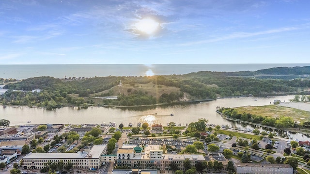 12 Washington Ave Unit 8, Grand Haven, MI 49417 - aerial view of a large body of water