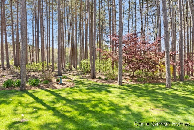 17134 Timber Dunes Dr, Grand Haven, MI 49417 - view of grassy yard