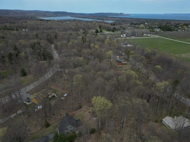 0000 E Sugar Maple Dr, Cedar, MI 49621