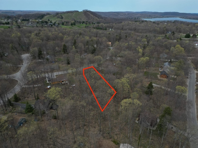 0000 E Sugar Maple Dr, Cedar, MI 49621