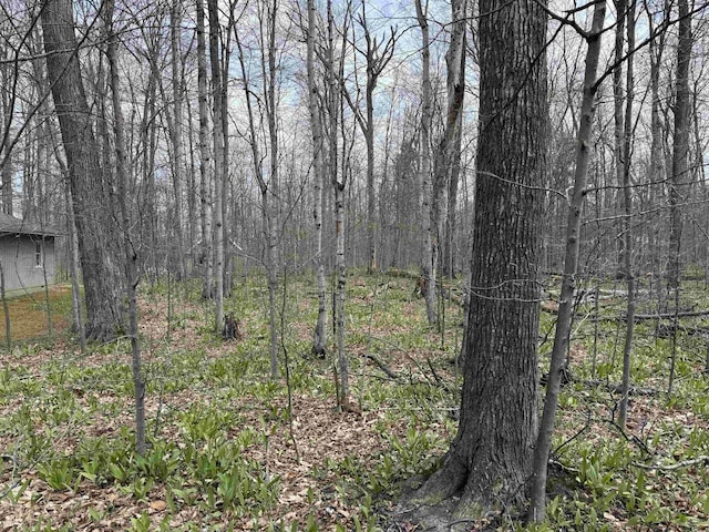 0000 E Sugar Maple Dr, Cedar, MI 49621