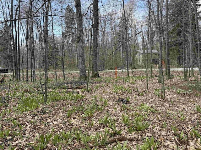 0000 E Sugar Maple Dr, Cedar, MI 49621