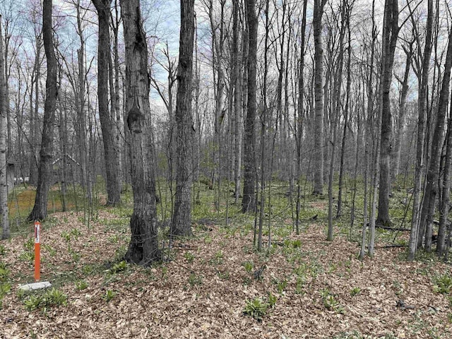 0000 E Sugar Maple Dr, Cedar, MI 49621