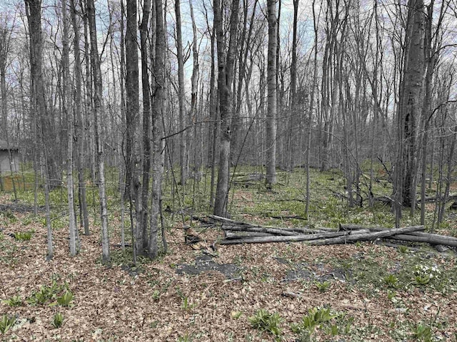 0000 E Sugar Maple Dr, Cedar, MI 49621