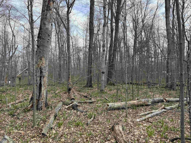 0000 E Sugar Maple Dr, Cedar, MI 49621