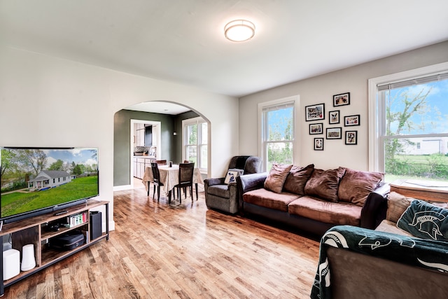 132 Jerome Ave, Ypsilanti, MI 48198 - living room featuring arched walkways, wood finished floors, and healthy amount of natural light