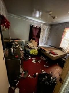 18547 Mccormick St, Detroit, MI 48224 - view of bedroom