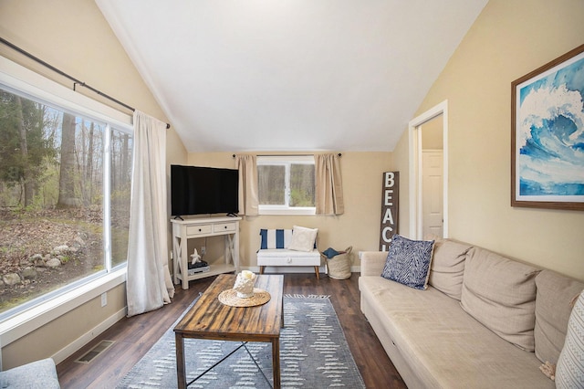 6280 Gleason Rd, Saugatuck, MI 49453 - living room featuring lofted ceiling, plenty of natural light, dark wood-style flooring, and baseboards