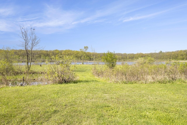 9458 Edwin Markham Rd, Brooklyn, MI 49230 - view of yard with a water view