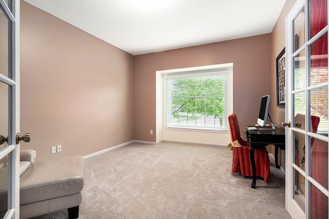 24391 Cavendish Ave E, Novi, MI 48375 - carpeted office with french doors and baseboards