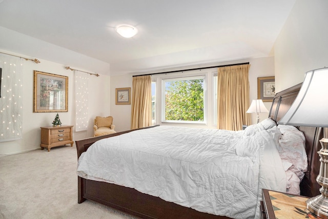 24391 Cavendish Ave E, Novi, MI 48375 - bedroom featuring light carpet