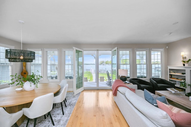 living area with healthy amount of natural light, light wood-style floors, and a water view