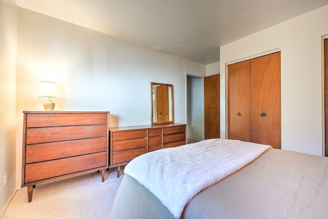 11837 Meteor Dr, Sterling Heights, MI 48313 - bedroom with light carpet and a closet