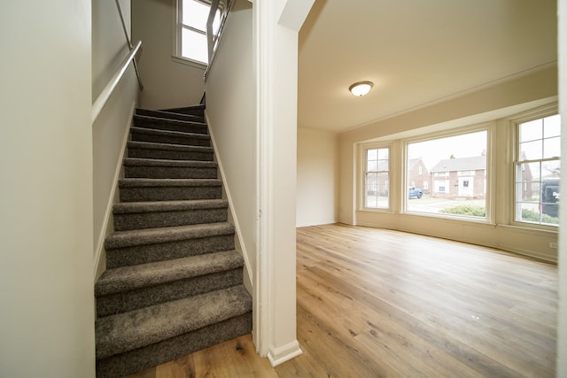 staircase with wood finished floors