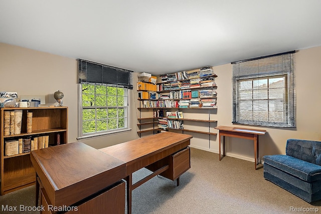 3287 Bradway Blvd, Bloomfield Hills, MI 48301 - carpeted office space with baseboards