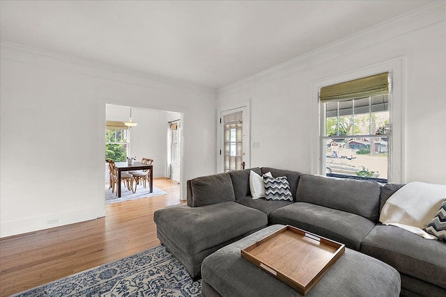 living room featuring light wood-type flooring and ornamental molding