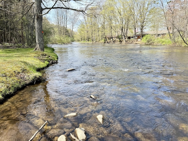 8869 E Hawley Rd, Hesperia, MI 49421 - water view
