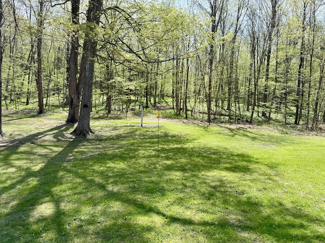 8869 E Hawley Rd, Hesperia, MI 49421 - view of green lawn featuring a view of trees