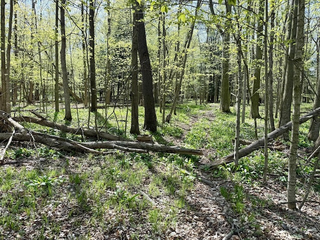 8869 E Hawley Rd, Hesperia, MI 49421 - view of woods