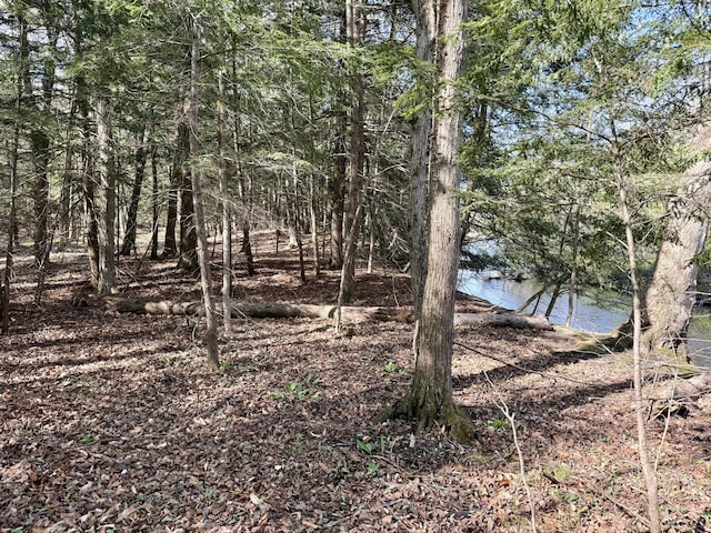 8869 E Hawley Rd, Hesperia, MI 49421 - view of nature