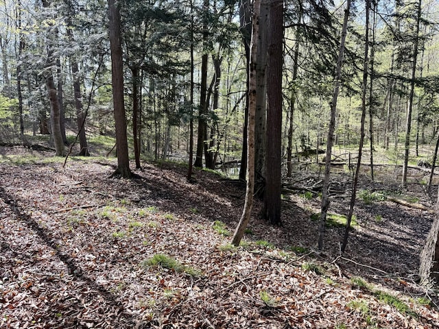 8869 E Hawley Rd, Hesperia, MI 49421 - view of tree filled area