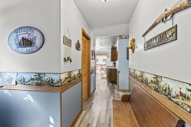 8869 E Hawley Rd, Hesperia, MI 49421 - hall featuring light wood finished floors and baseboards